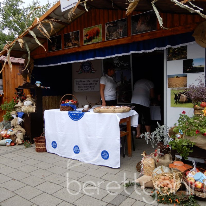 Helyi Értékek Startja 31